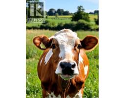 131 Acre Canvas, Blucher Rm No  343, SK S0K0Y0 Photo 10