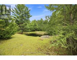 64 Mackey Creek Road, Head, Clara And Maria, ON K0J2B0 Photo 37