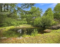 64 Mackey Creek Road, Head, Clara And Maria, ON K0J2B0 Photo 38