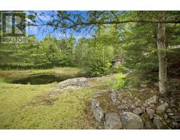 64 Mackey Creek Road, Head, Clara And Maria, ON K0J2B0 Photo 39
