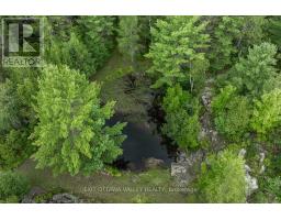 64 Mackey Creek Road, Head, Clara And Maria, ON K0J2B0 Photo 40