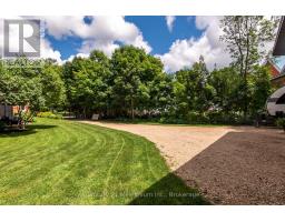 16 Peter Street, Grey Highlands, ON N0C1E0 Photo 42