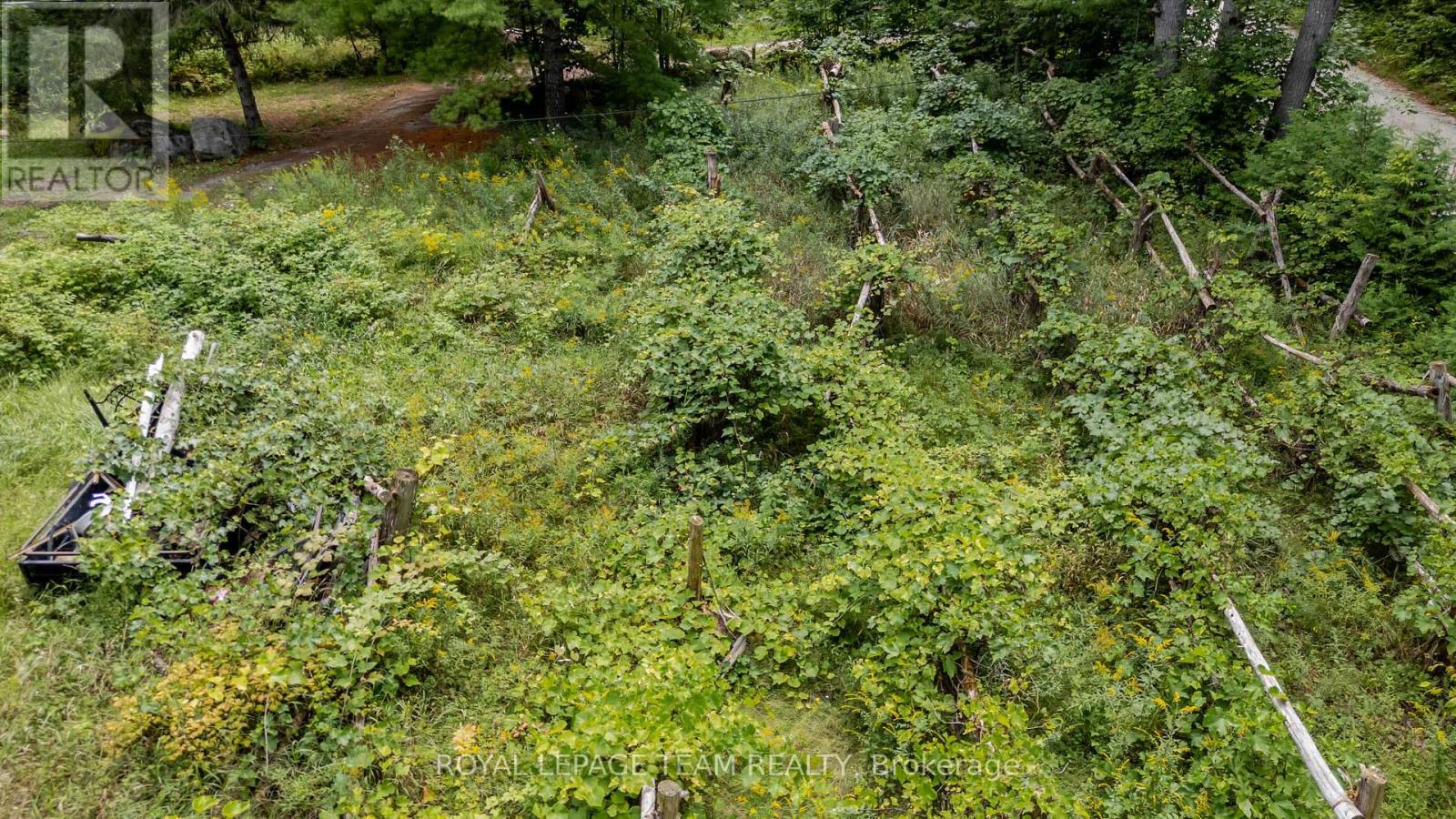 884 CONCESSION 7 ROAD - Image 16