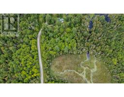 884 Concession 7 Road, Lanark Highlands, ON K0G1K0 Photo 11