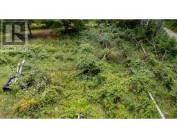 884 Concession 7 Road, Lanark Highlands, ON K0G1K0 Photo 16