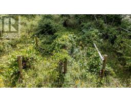 884 Concession 7 Road, Lanark Highlands, ON K0G1K0 Photo 17