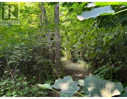 937082 Airport Road W, Mulmur, ON L9V0L6 Photo 29