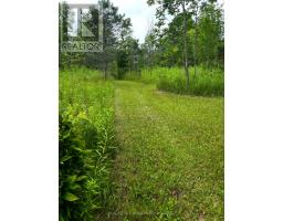 937082 Airport Road W, Mulmur, ON L9V0L6 Photo 33