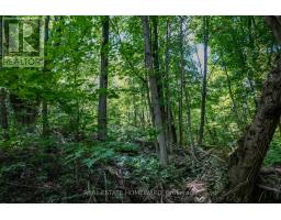 937082 Airport Road W, Mulmur, ON L9V0L6 Photo 16