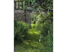 937082 Airport Road W, Mulmur, ON L9V0L6 Photo 32