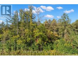 121 Milky Way Drive, Richmond Hill, ON L4C4L9 Photo 41