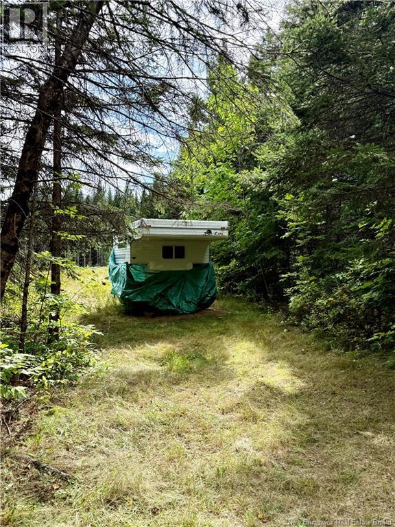 Camp & Lot Nortondale Road - 11