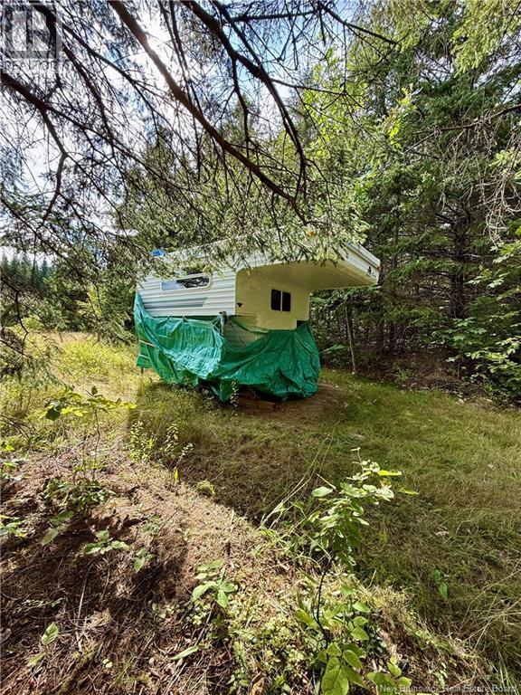 Camp & Lot Nortondale Road - 12