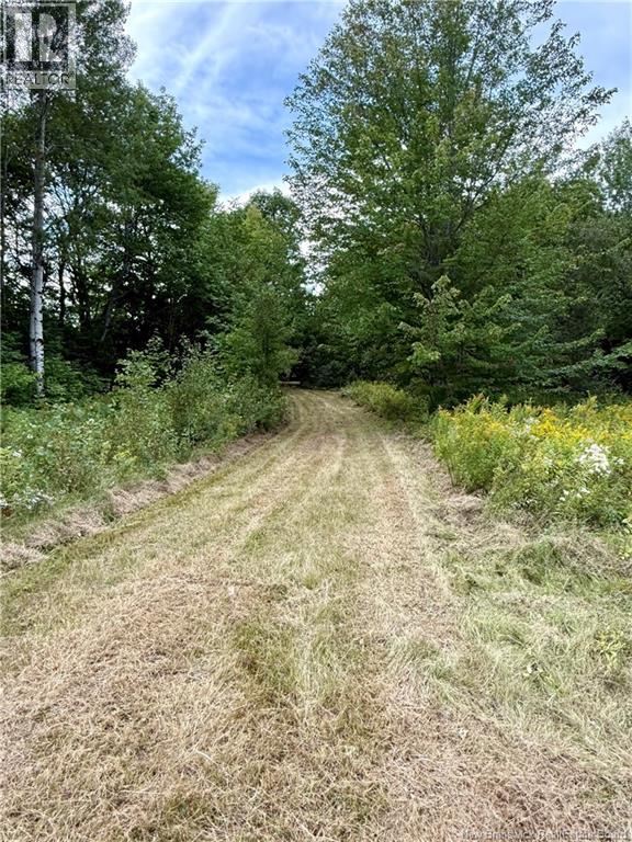 Camp & Lot Nortondale Road - Image 3