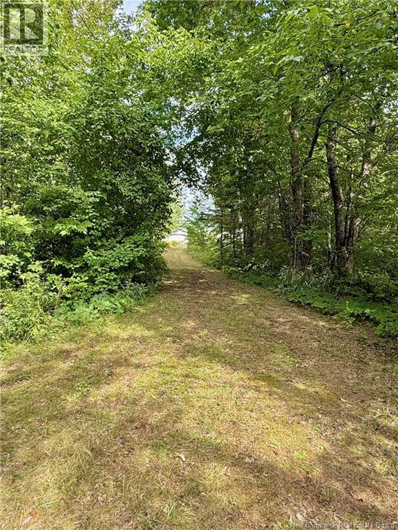 Camp & Lot Nortondale Road - Image 39