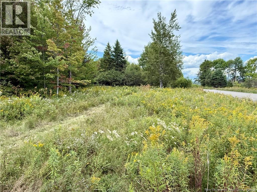 Camp & Lot Nortondale Road - 4