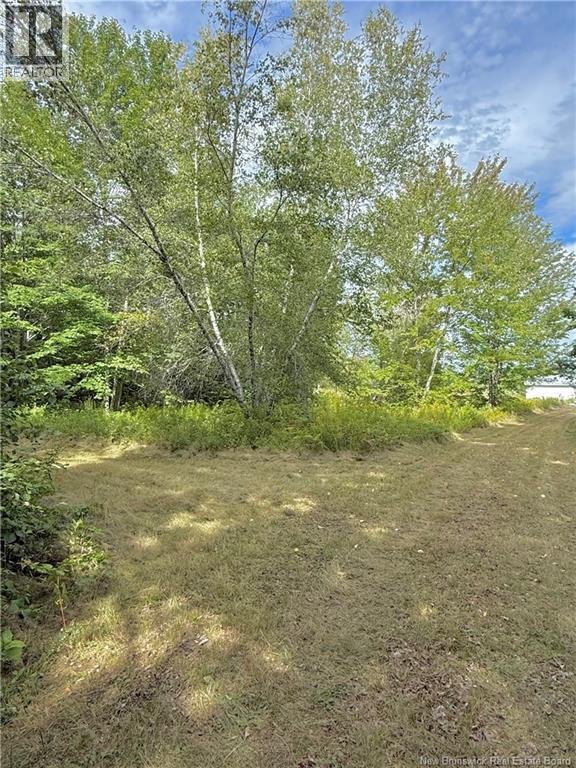 Camp & Lot Nortondale Road - 40
