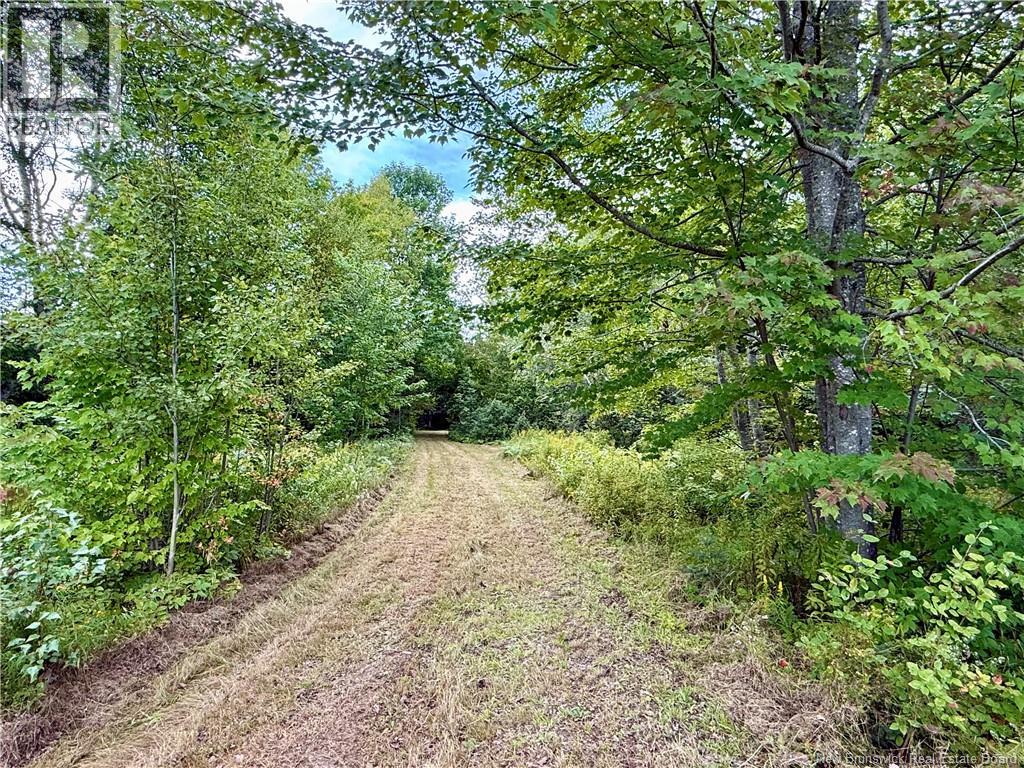Camp & Lot Nortondale Road - 5