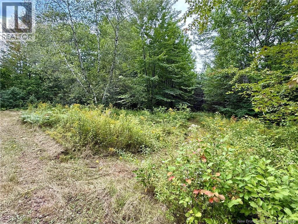 Camp & Lot Nortondale Road - Image 6