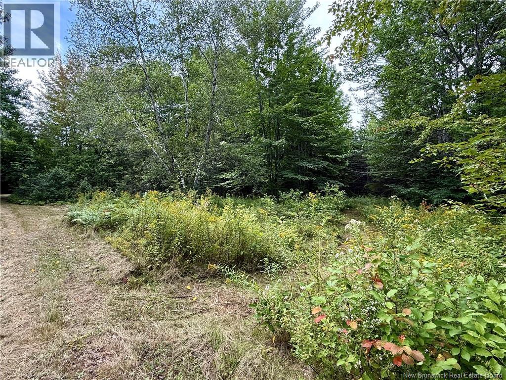 Camp & Lot Nortondale Road - 7
