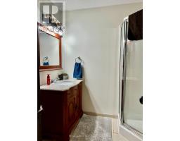 241 4th Street Crescent, Hanover, ON N4N3S9 Photo 45