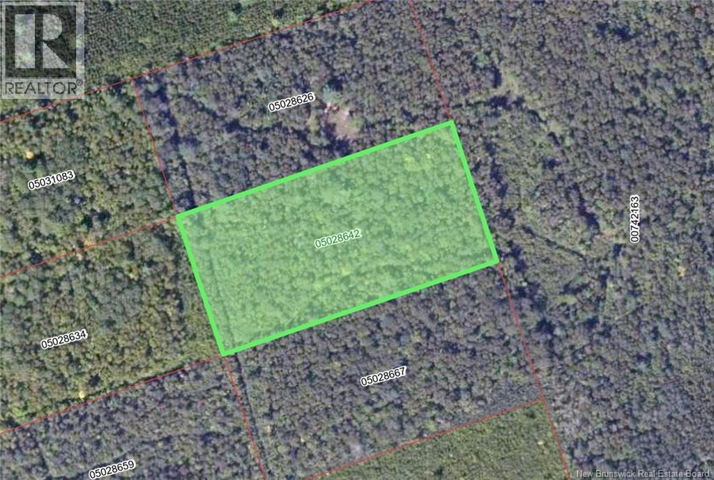 Wood Lot Green Road, Elgin, New Brunswick, E4Z1T6, Elgin, New Brunswick — photo 2 of 3