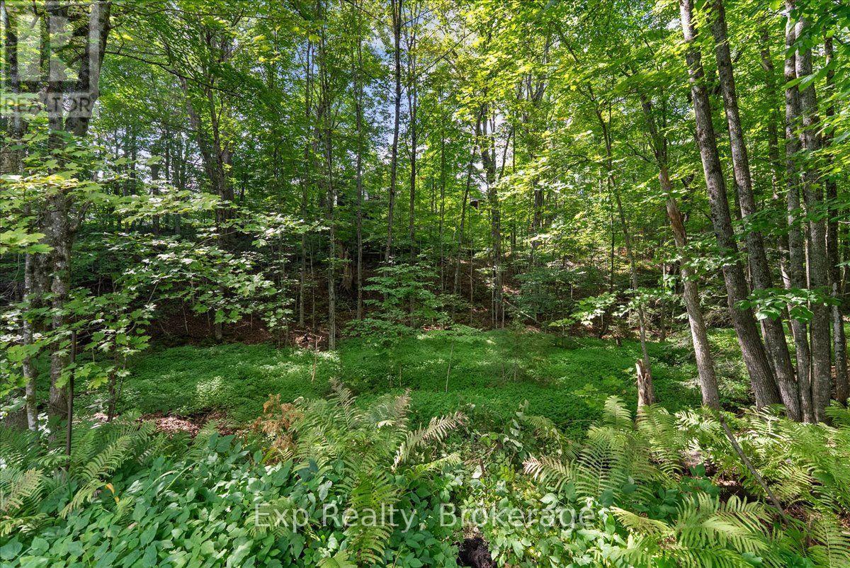 26 SHERBOURNE STREET N - 41