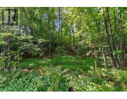 26 Sherbourne Street N, Bancroft, ON K0L1C0 Photo 41