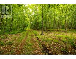 1142 County Road 43 Road, Merrickville Wolford, ON K0G1N0 Photo 47