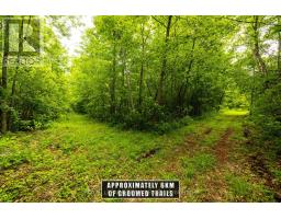 1142 County Road 43 Road, Merrickville Wolford, ON K0G1N0 Photo 48