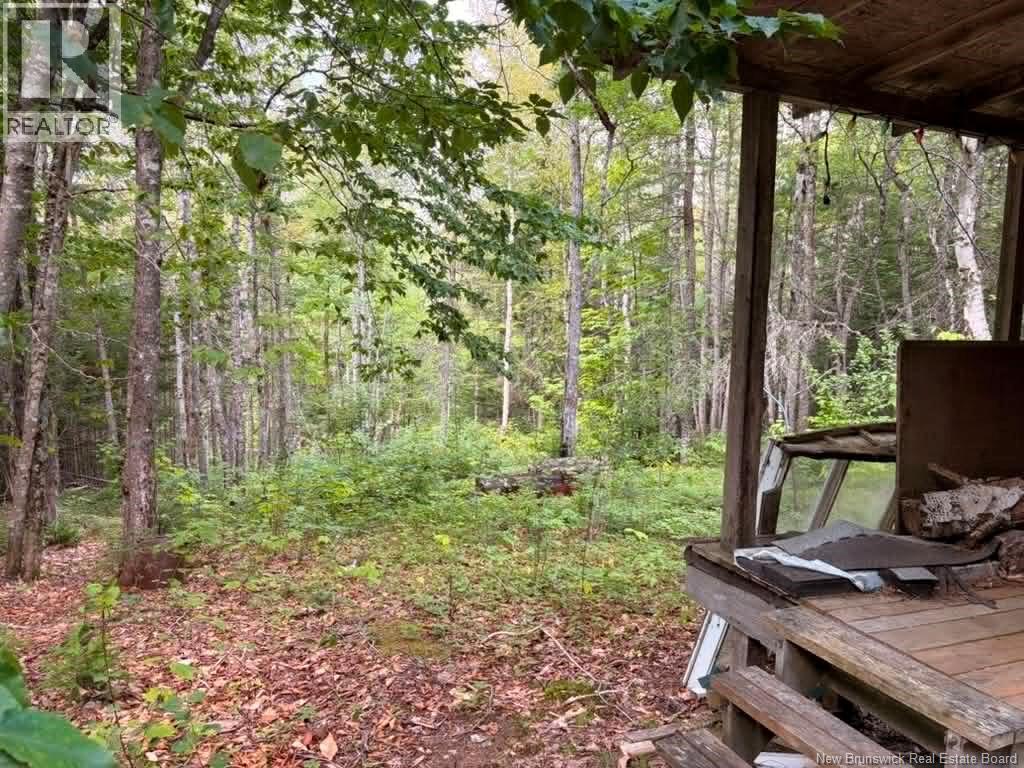 Camp - Lot 17 Green Road - Image 10