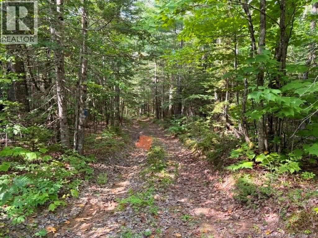 Camp - Lot 17 Green Road - Image 5