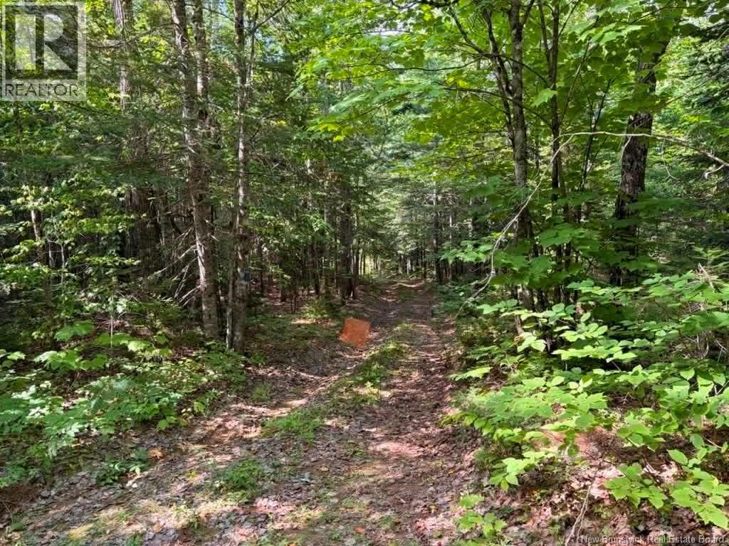 Camp - Lot 17 Green Road - 6