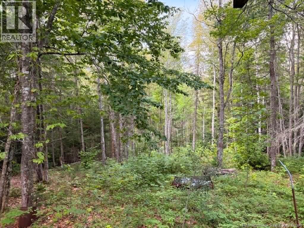 Camp - Lot 17 Green Road - Image 7