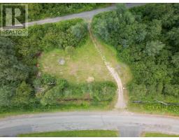 141 Sandy Point Road, Norris Arm, NL A0G3M0 Photo 48