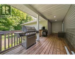 198 Skinkle Road, Trent Hills, ON K0K3K0 Photo 33