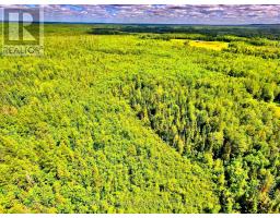 174 Budd Road, Bonnechere Valley, ON K0J1T0 Photo 10