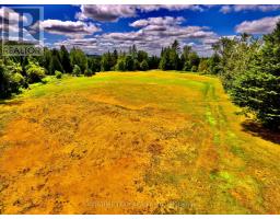 174 Budd Road, Bonnechere Valley, ON K0J1T0 Photo 18