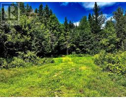 174 Budd Road, Bonnechere Valley, ON K0J1T0 Photo 21