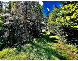 174 Budd Road, Bonnechere Valley, ON K0J1T0 Photo 22