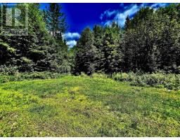 174 Budd Road, Bonnechere Valley, ON K0J1T0 Photo 23