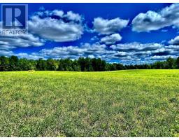 174 Budd Road, Bonnechere Valley, ON K0J1T0 Photo 32