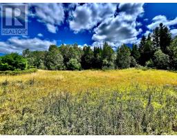 174 Budd Road, Bonnechere Valley, ON K0J1T0 Photo 37