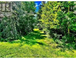 174 Budd Road, Bonnechere Valley, ON K0J1T0 Photo 38