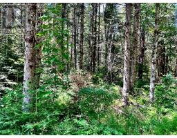 174 Budd Road, Bonnechere Valley, ON K0J1T0 Photo 40