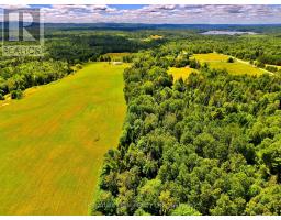 174 Budd Road, Bonnechere Valley, ON K0J1T0 Photo 7