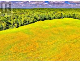 174 Budd Road, Bonnechere Valley, ON K0J1T0 Photo 9