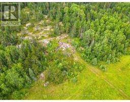 0 Ascough Road, Kenora, ON P9N1H4 Photo 10