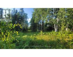0 Ascough Road, Kenora, ON P9N1H4 Photo 8