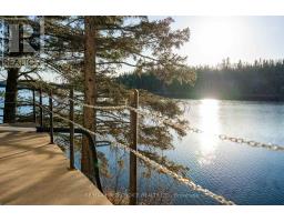 21 Tinker's Road, Sioux Narrows Nestor Falls, ON P0X1K0 Photo 44